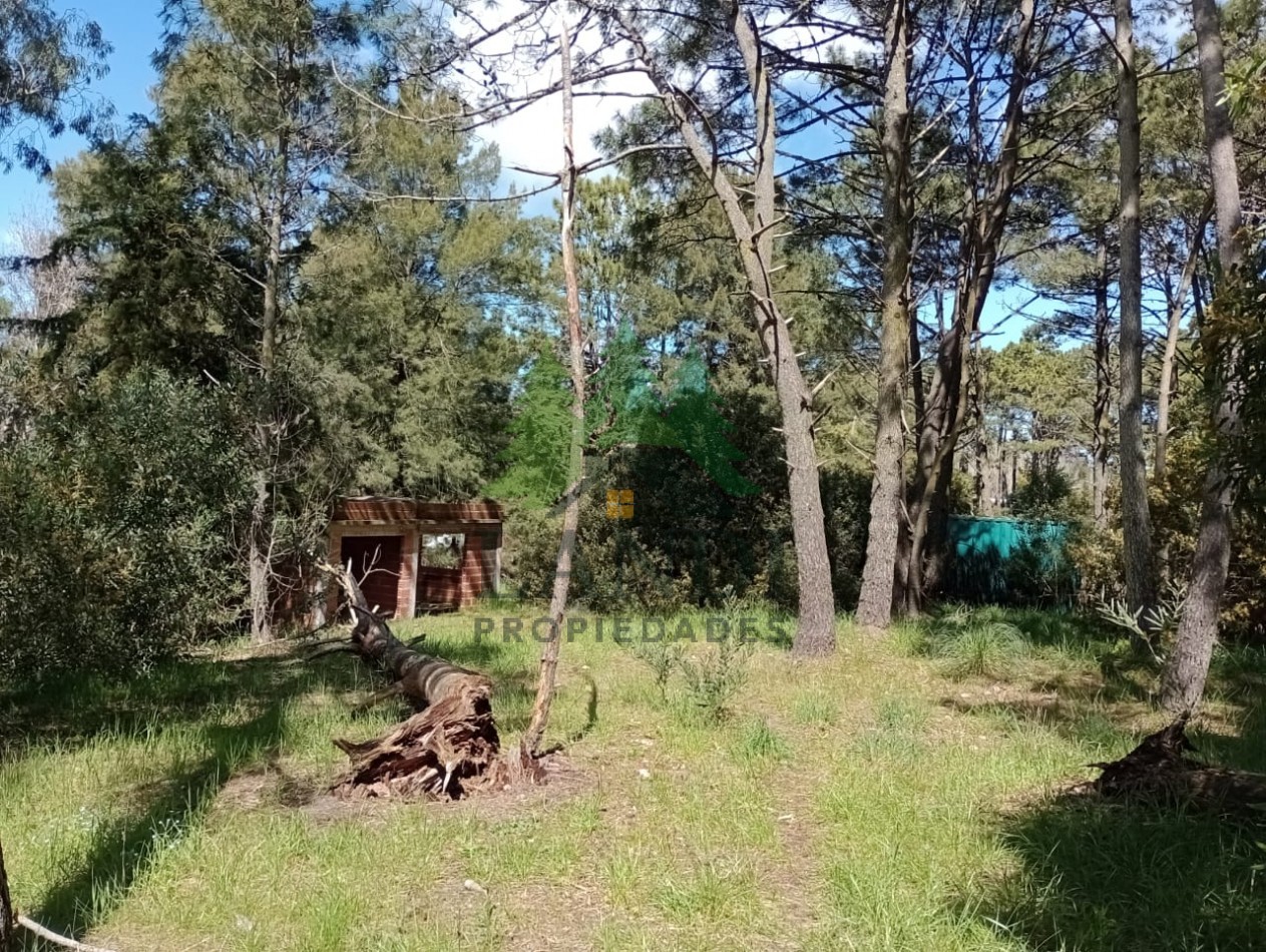 LOTE + CONSTRUCCION