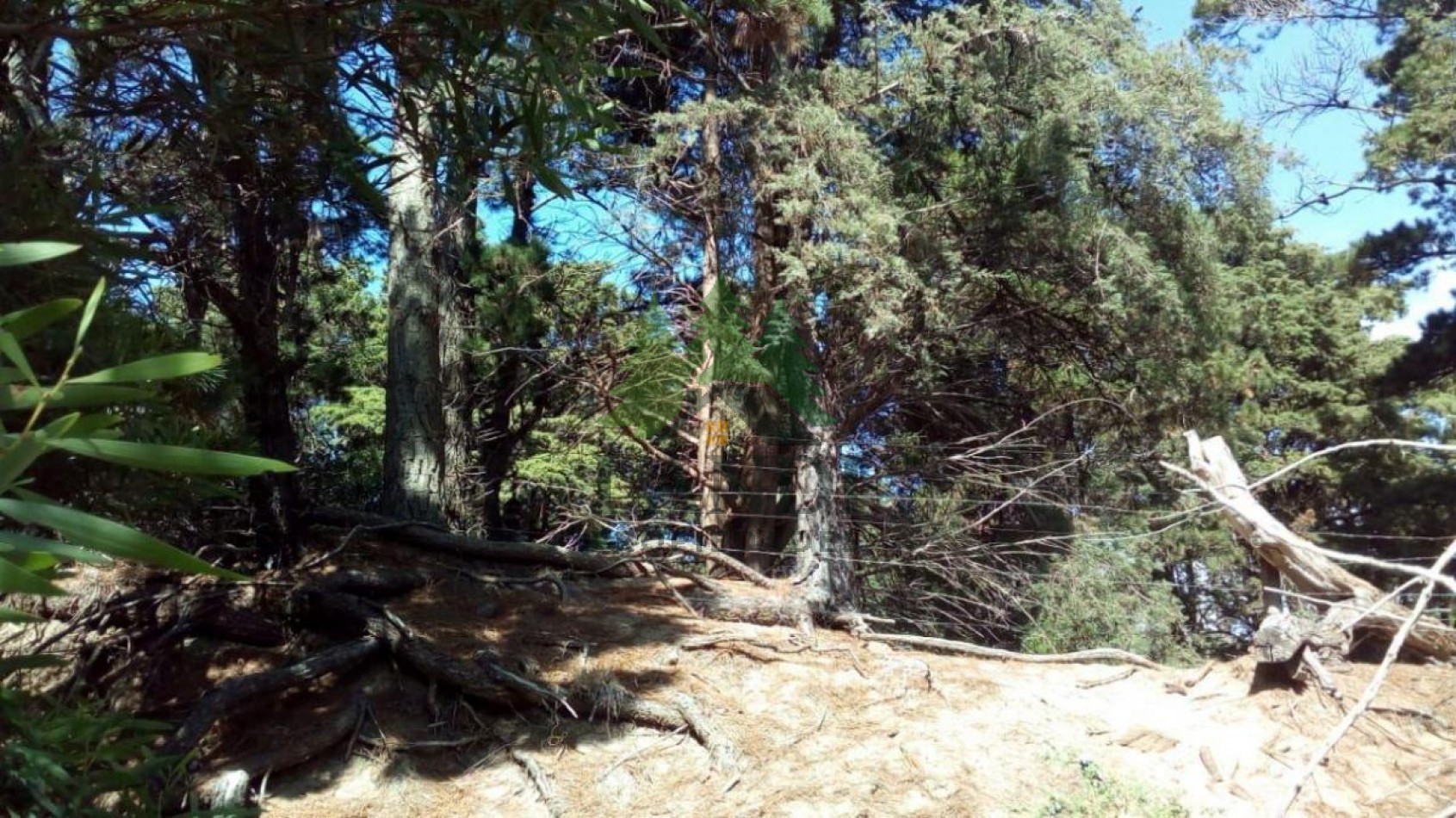 Lote en venta en Mar Azul