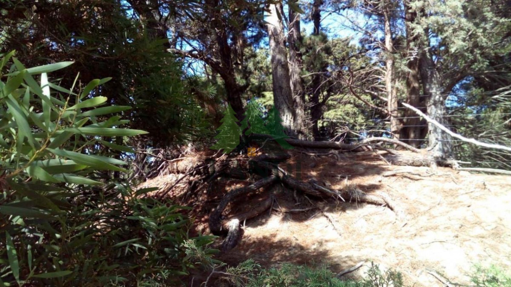 Lote en venta en Mar Azul
